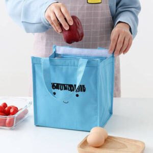Women Portable Tote Insulated Cooler Bags for Beach Food Picnic Bags